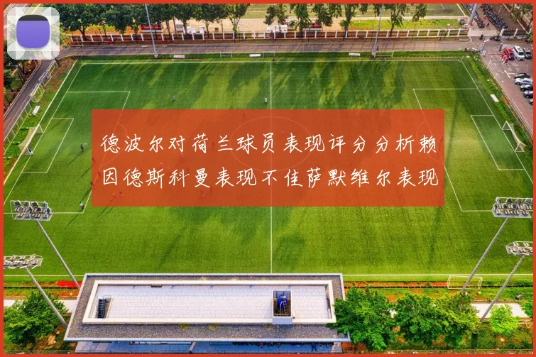 德波尔对荷兰球员表现评分分析赖因德斯科曼表现不佳萨默维尔表现出色