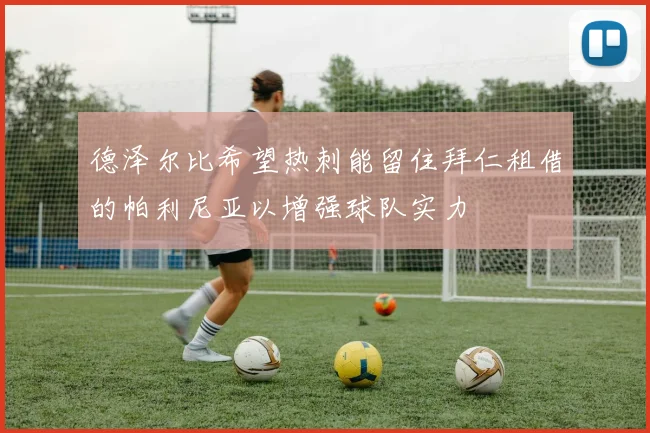 德泽尔比希望热刺能留住拜仁租借的帕利尼亚以增强球队实力